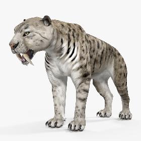 3D Arctic Saber Tooth Cat model